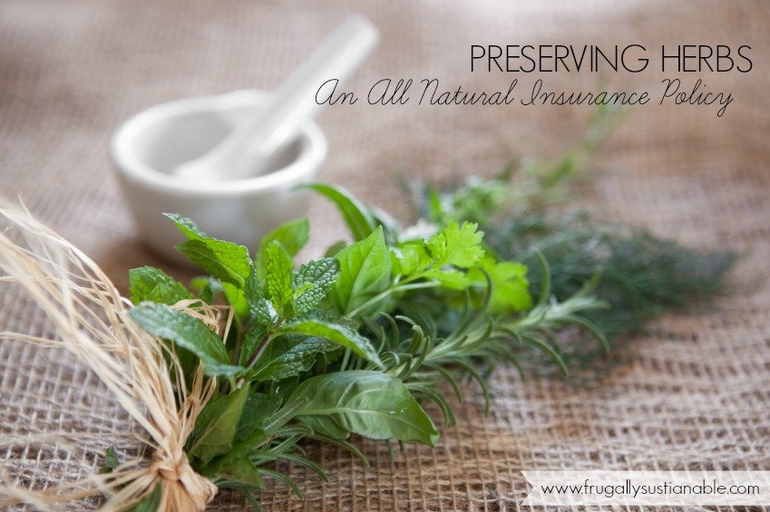 Preserving Herbs :: An All Natural, Independent Insurance Policy
