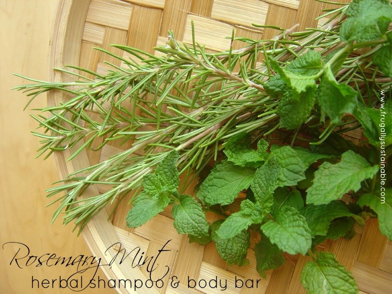 Rosemary Mint Herbal Shampoo & Body Bar