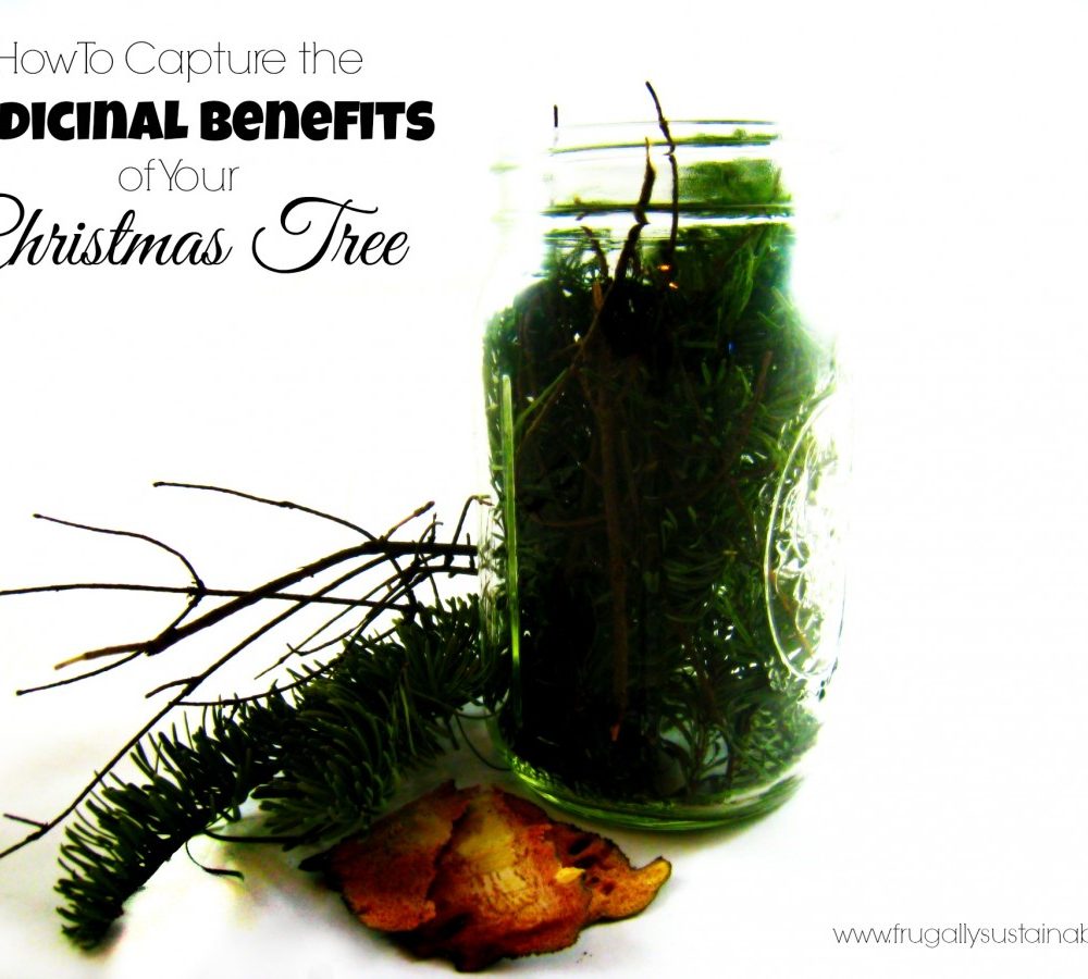 How To Capture the Medicinal Benefits of Your Christmas Tree