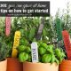 Medicine You Can Grow at Home & Tips on How To Get Started