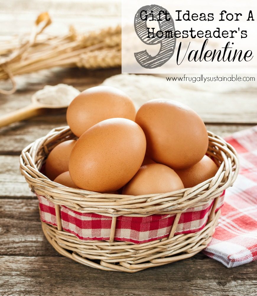 9 Gift Ideas for A Homesteader’s Valentine