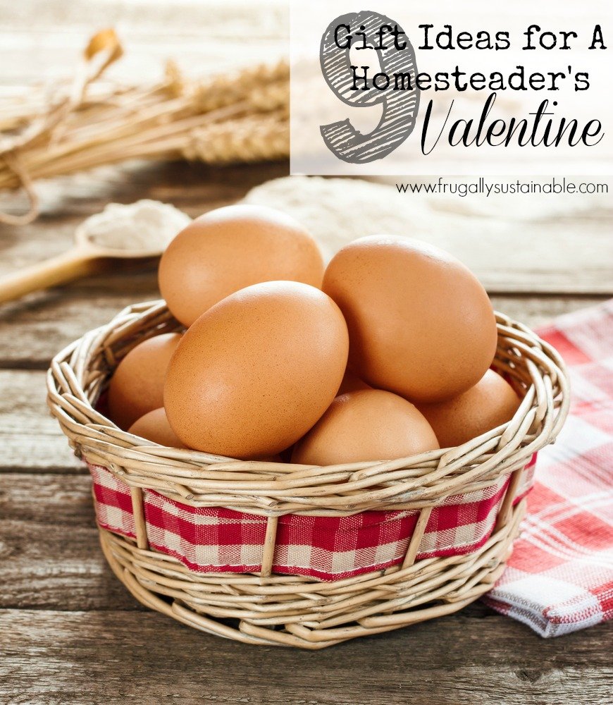 9 Gift Ideas for A Homesteader's Valentine