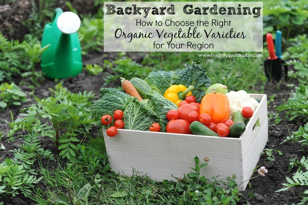 Backyard Gardening: How to Choose the Right Organic Vegetable Varieties for Your Region
