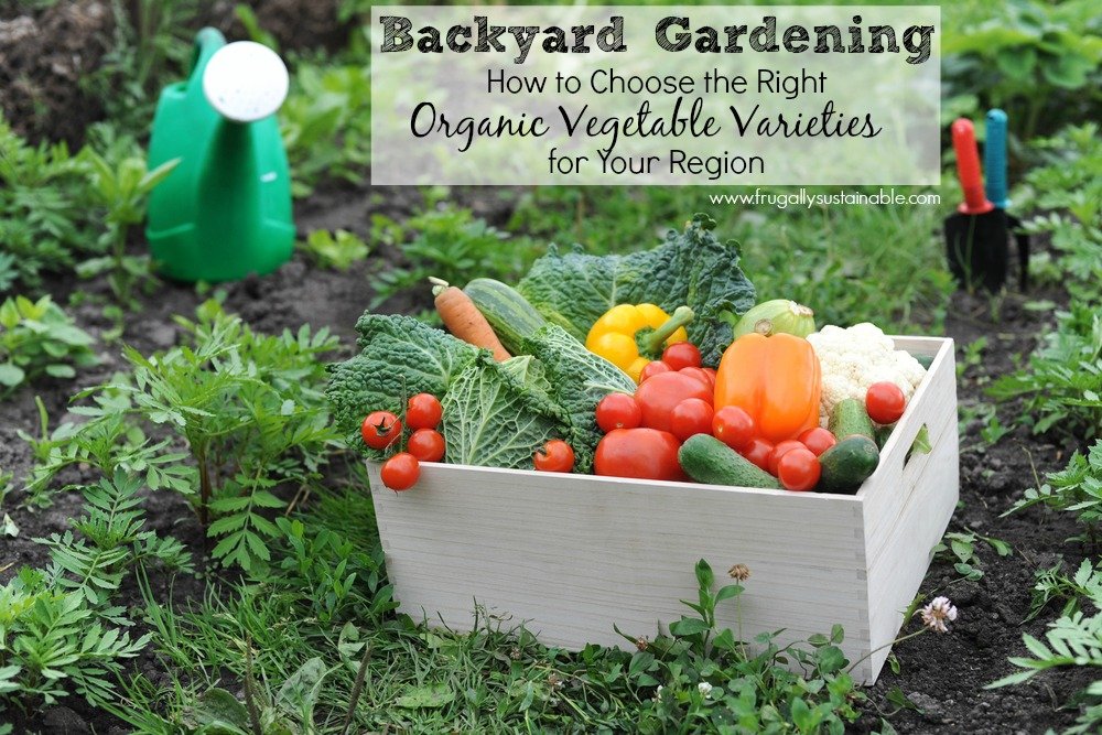 Great gardening tips to help you choose the right organic veggie varieties for your region