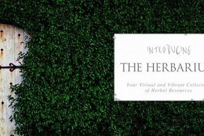 The Herbarium :: For a Deeper Connection to Plants + Like-Minded Others 1