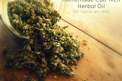 Homemade CBD-Rich Herbal Oil :: For Topical Use Only