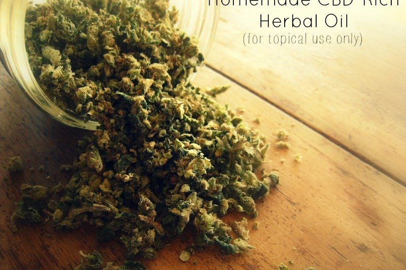 Homemade CBDRich Herbal Oil For Topical Use Only Frugally Sustainable