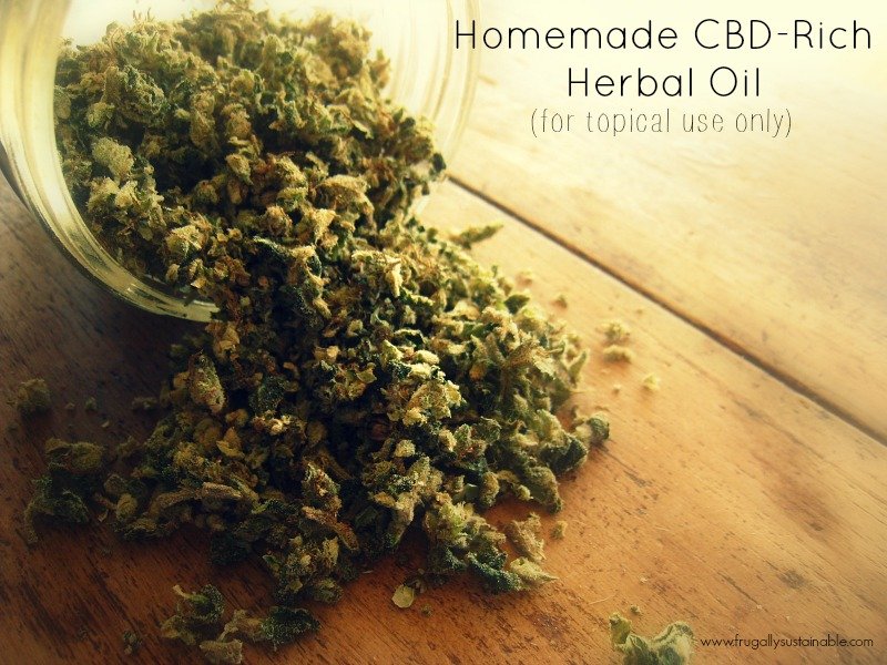 Make your own CBD-Rich Herbal Oil -- for topical use only. Nature's BEST for pain relief + skin healing