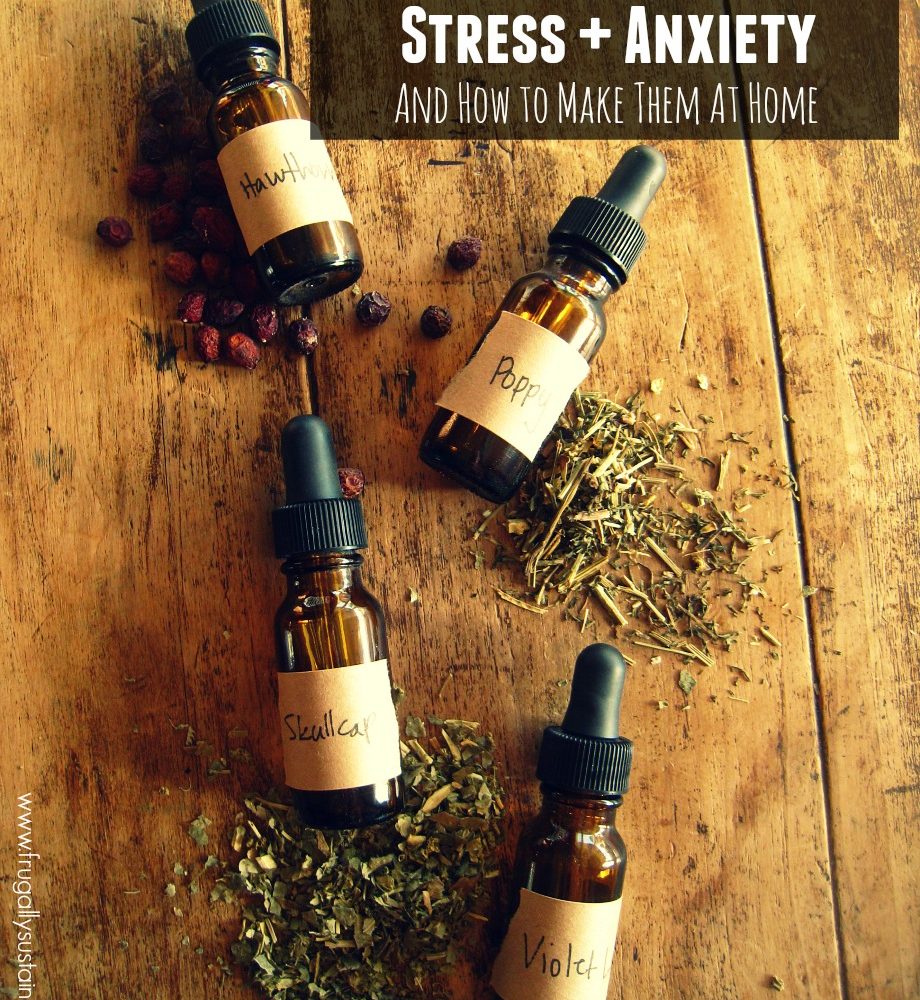 Women’s Health :: Herbal Tinctures for Stress, Anxiety, and Panic Attacks + How to Make Them At Home