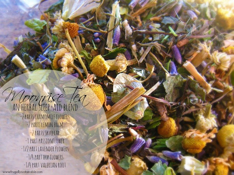 Moonrise Herbal Tea Blend :: How to Make an Herbal Sleep Aid Tea