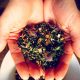 Green Gypsy Cleansing Tea :: Make Your Own Herbal Tea To Support the Body During Detox + Juicing + Stress
