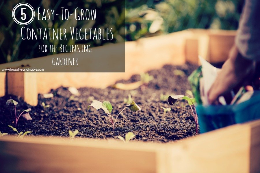 Small Space Gardening? Maximize Your Harvest With These 5 EASY-to-Grow Vegetables. Perfect for the Beginning Gardener! 2