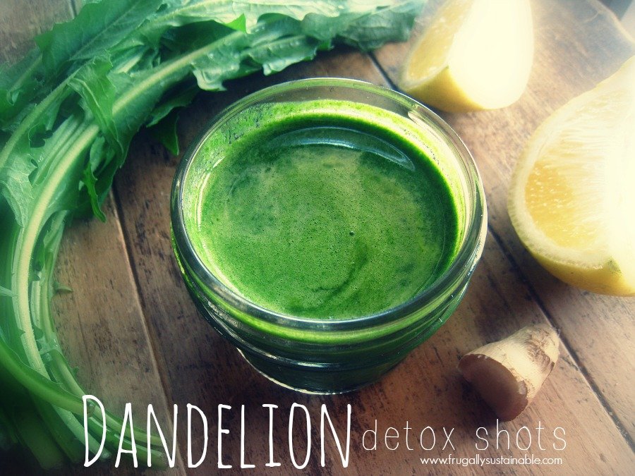 Dandelion Detox Shots...for optimal Springtime wellness