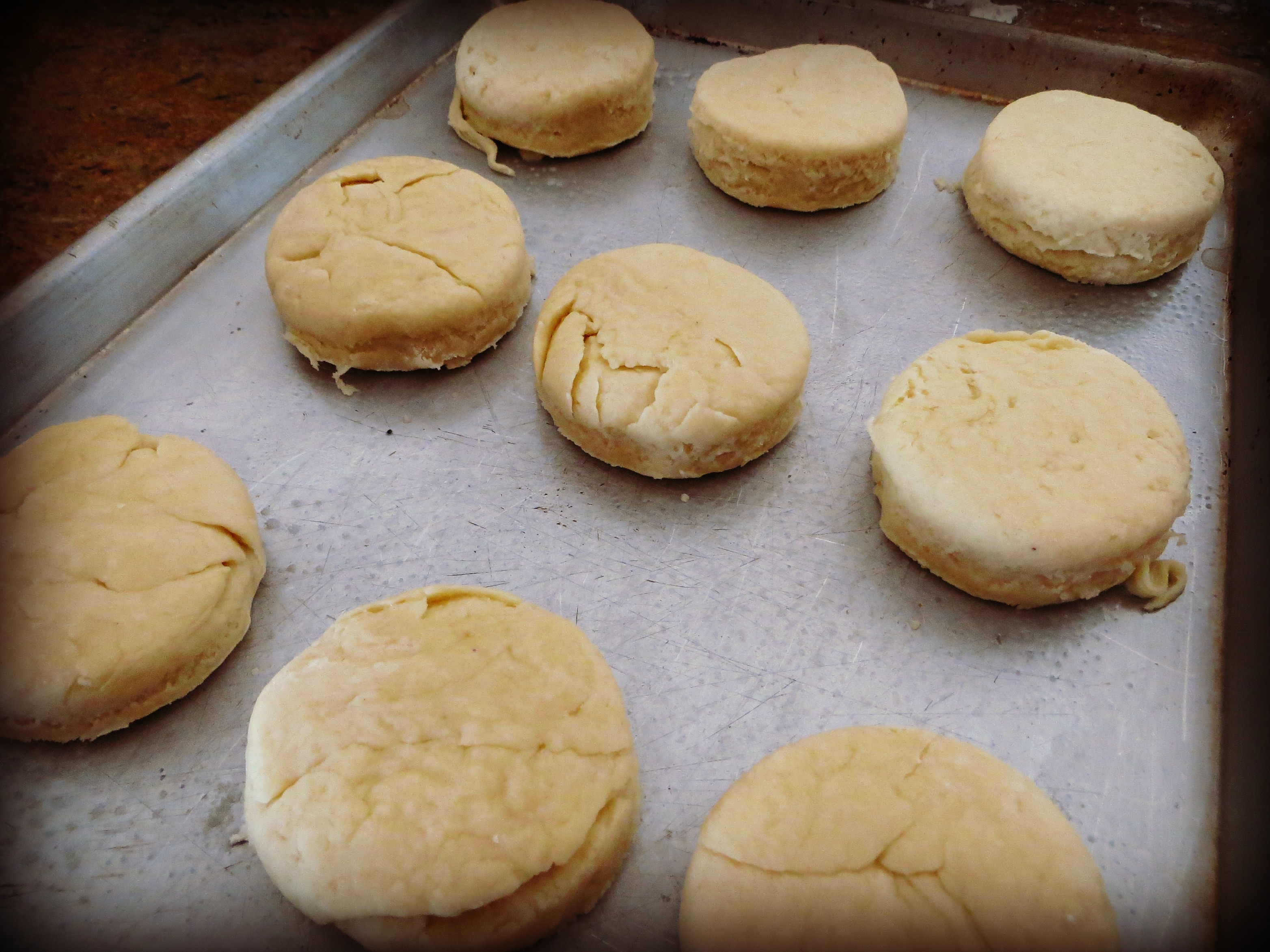 biscuits on pan