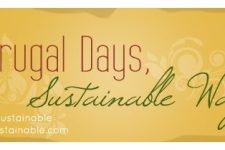 Frugal Days Sustainable Ways