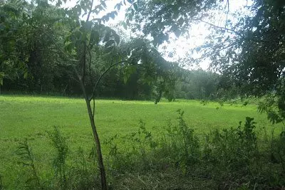 10 Things To Consider When Living Off The Land {And How Much Money Will It Cost} 1