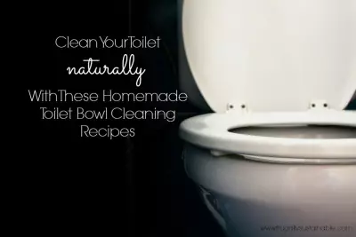 Homemade Toilet Bowl Cleaner Recipes
