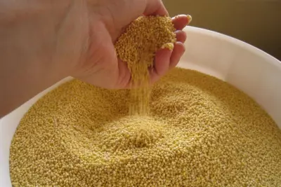 What Items Should Always Be Found In the Pantry: A Suggested List of Pantry Staples 1