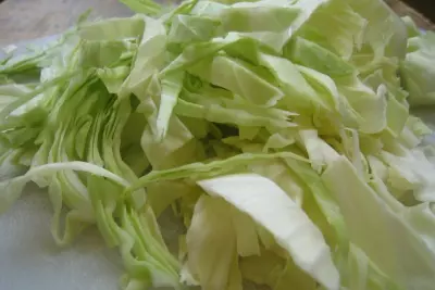 How to Preserve Cabbage 4