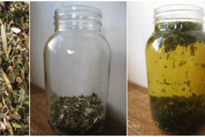 A Sustainable Daily Vitamin Supplement 2
