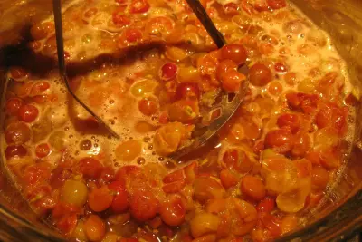 Preserving Grapes: A Recipe for Spiced Grape Butter 7