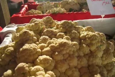 10+ Ways to Beat Rising Food Prices