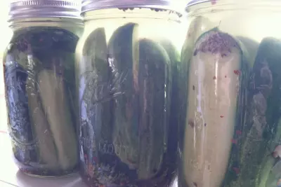 The Best "No Canning Skills Needed" Homemade Pickle Recipe 4