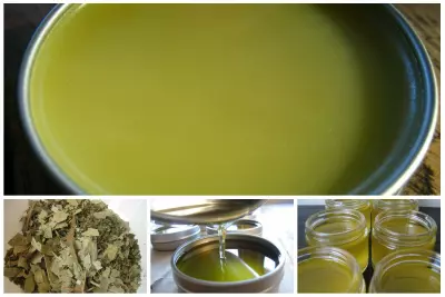 Herbal Decongestant Salve: A Recipe for a Homemade Vapor Rub