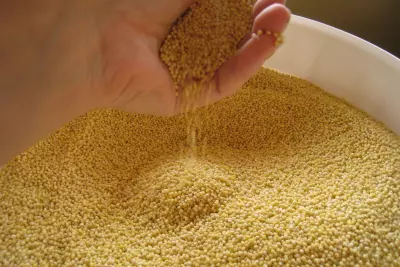 Tips for Buying in Bulk