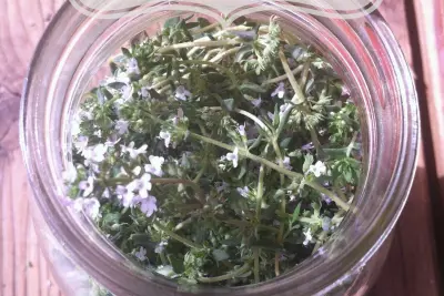 Natural Remedies from the Garden: How to Make an Herbal Astringent for Blemished, Acne-Prone Skin