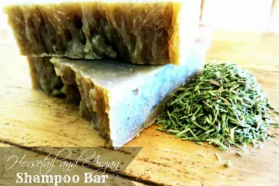 How to Make an Herbal Shampoo Bar Soap :: Horsetail and Argan Oil :: A Recipe for Damaged Hair 2