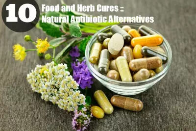 Food and Herb Cures :: 10 Natural Antibiotic Alternatives