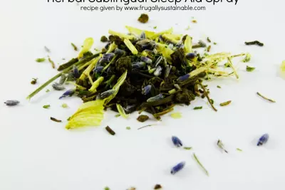 Natural Insomnia Remedy :: Make Your Own Herbal Sublingual Sleep Aid Spray 2