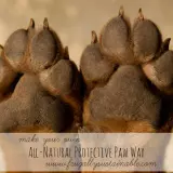 How to Make an All-Natural Protective Paw Wax for Dogs & Cats 1