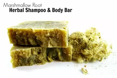 The Benefits of Marshmallow Root for Hair :: Marshmallow Root Herbal Shampoo & Body Bar Soap