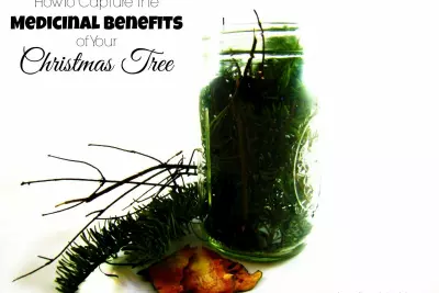 How To Capture the Medicinal Benefits of Your Christmas Tree