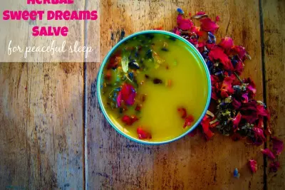Herbal Sweet Dreams Salve :: For Naturally Peaceful Sleep 1