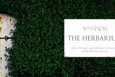 The Herbarium :: For a Deeper Connection to Plants + Like-Minded Others 1