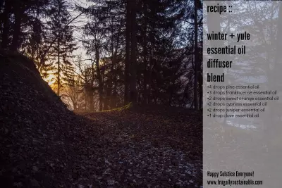 Winter + Yule Essential Oil Diffuser Blend