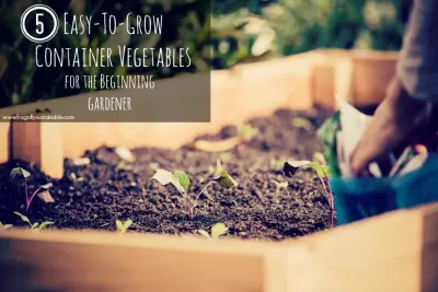 Small Space Gardening? Maximize Your Harvest With These 5 EASY-to-Grow Vegetables. Perfect for the Beginning Gardener! 2