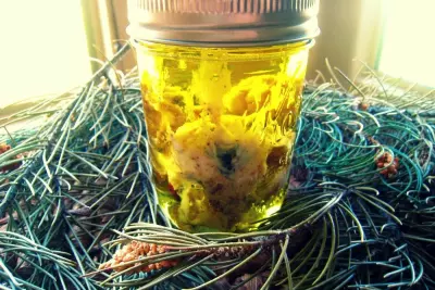 How to Make Pinon (Pinyon) Oil and Salve 2
