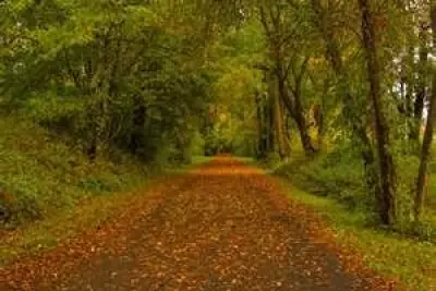 In My Own Words:: Sustainable Living Defined:Part 1