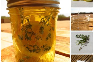 Natural Remedies from the Garden: Lemon Thyme Herbal Disinfecting Spray