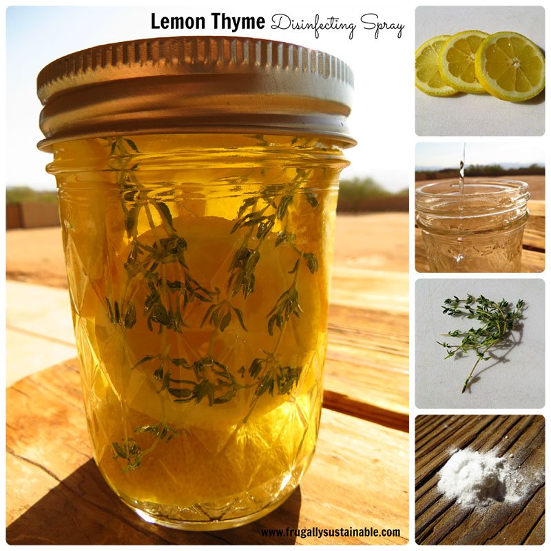 Lemon Thyme Herbal Disinfecting Spray